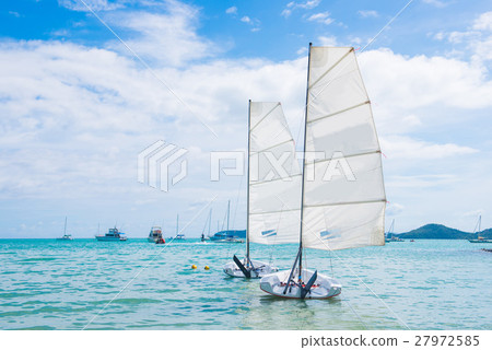 flying ants sailing on the sea 27972585