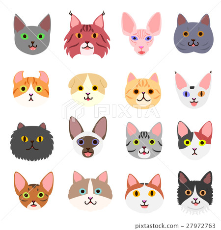 Cute cat face set 27972763