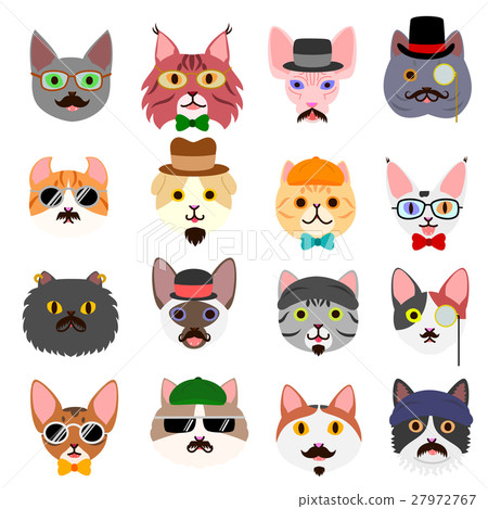 Fashionable cat face set 27972767