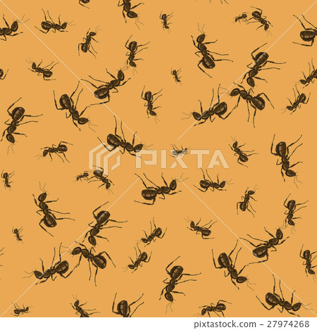Ant Seamless Pattern 27974268