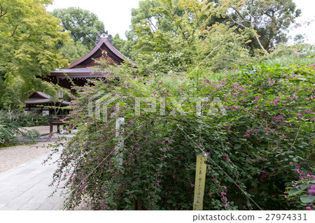 Hagi - Nishiki Shrine 27974331