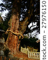 Otori Shinmeichi Shrine的Oosugi 27976150