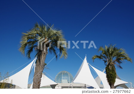 葛西海洋生物公園（東京都江戶川區） 27977662