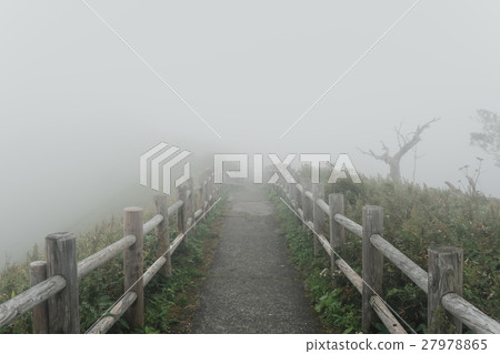 Mist (48) Mist (48) 27978865