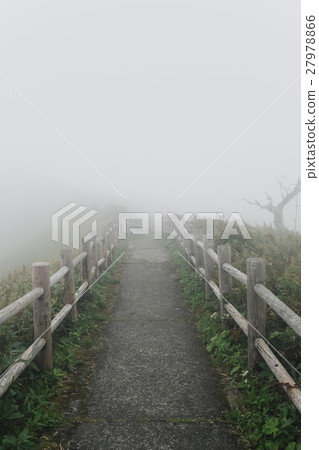 Mist (49) Mist (49) 27978866