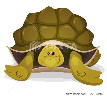 Cute Turtle Character 27978968