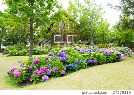 小屋和绣球花 图库照片