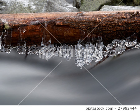 Icy branches above chilly stream.Reflection in ice Icy branches above chilly stream.Reflection in ice 27982444