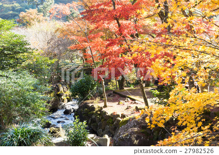 Autumn leaves of Atami plum garden 27982526