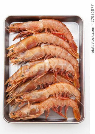 與蝦蝙蝠的鳥瞰圖 27985077