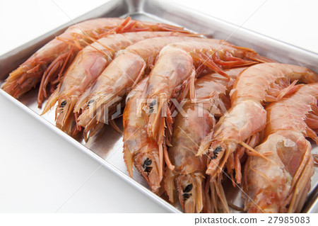 蝦材料了 蝦材料了 27985083