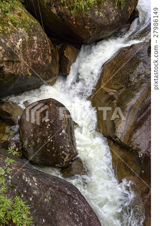River in Itatiaia National Park River in Itatiaia National Park 27986149