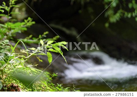 River in Itatiaia National Park River in Itatiaia National Park 27986151
