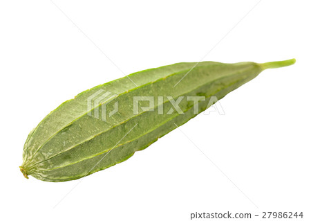 Ridge gourd Ridge gourd 27986244