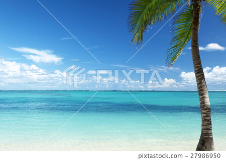 Caribbean beach 27986950
