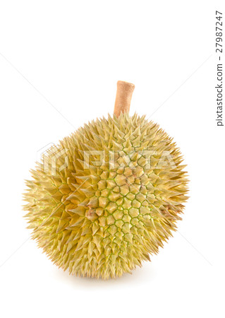 durian close up durian close up 27987247