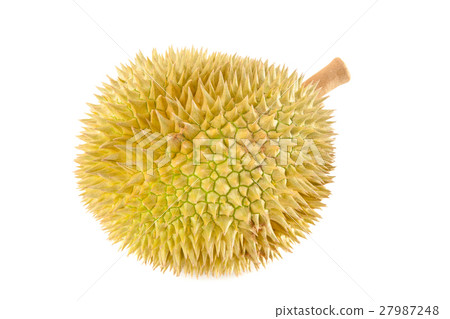 durian close up durian close up 27987248