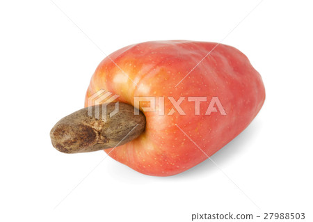 Brazilian Caju Cashew Fruit Brazilian Caju Cashew Fruit 27988503