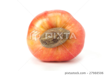 Brazilian Caju Cashew Fruit Brazilian Caju Cashew Fruit 27988506