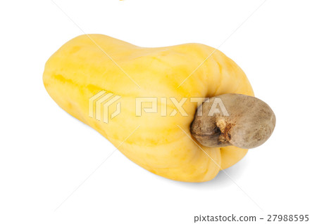 Brazilian Caju Cashew Fruit 27988595