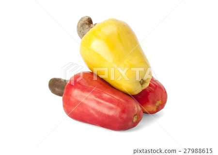 Brazilian Caju Cashew Fruit Brazilian Caju Cashew Fruit 27988615