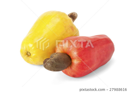 Brazilian Caju Cashew Fruit Brazilian Caju Cashew Fruit 27988616