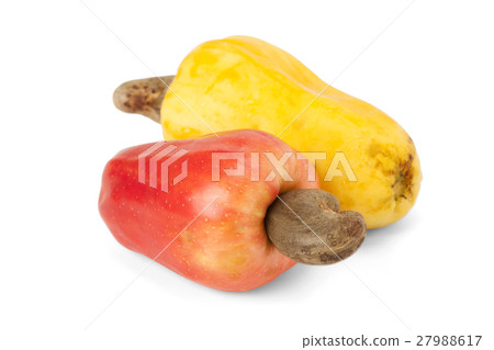 Brazilian Caju Cashew Fruit Brazilian Caju Cashew Fruit 27988617