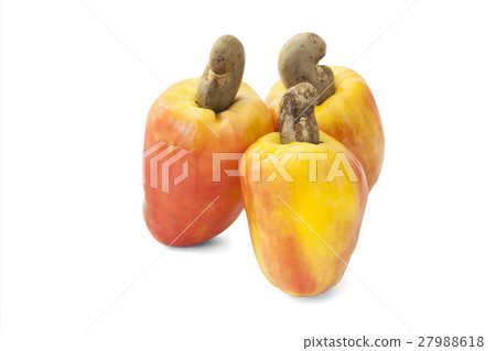 Brazilian Caju Cashew Fruit Brazilian Caju Cashew Fruit 27988618