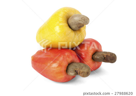 Brazilian Caju Cashew Fruit Brazilian Caju Cashew Fruit 27988620