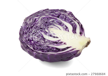 Red cabbage or violet cabbage 27988684