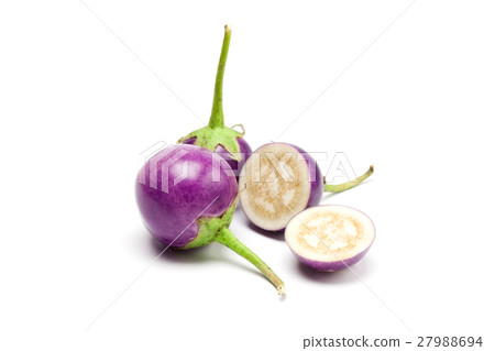 purple eggplant purple eggplant 27988694