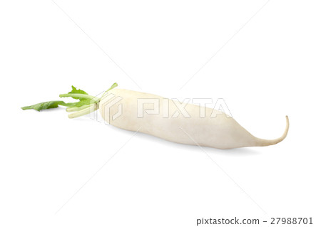 Daikon radish 27988701