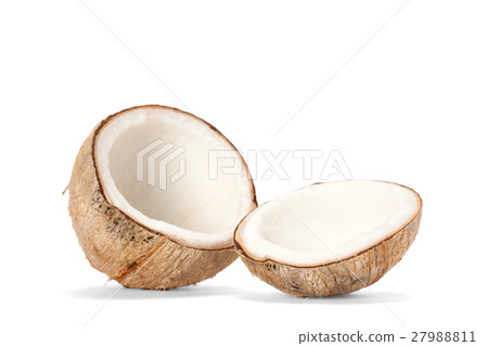 coconut coconut 27988811