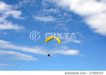 Free flight 27989335