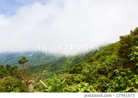 Rainforest landscape in Monteverde Costa Rica Rainforest landscape in Monteverde Costa Rica 27991073