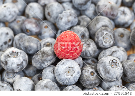 ripe blueberries, close-up ripe blueberries, close-up 27991848