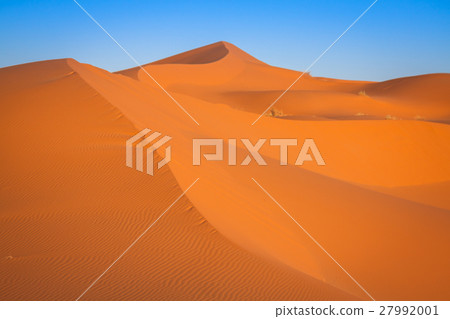 Sand dunes in the Sahara Desert, Merzouga, Morocco 27992001