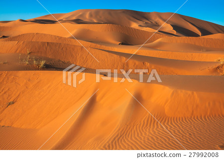 Sand dunes in the Sahara Desert, Merzouga, Morocco 27992008