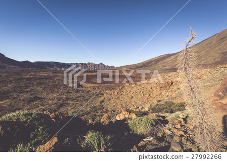Landscape in Teide National Park, Canary Island 27992266