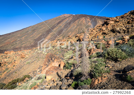 El Teide National Park, Tenerife, Canary Islands 27992268