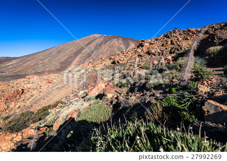 El Teide National Park, Tenerife, Canary Islands 27992269