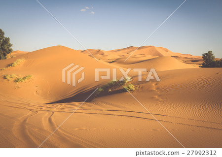Desert dune at Erg Chebbi near Merzouga in Morocco 27992312