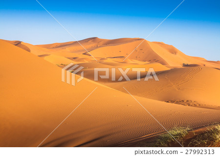 Desert dune at Erg Chebbi near Merzouga in Morocco Desert dune at Erg Chebbi near Merzouga in Morocco 27992313