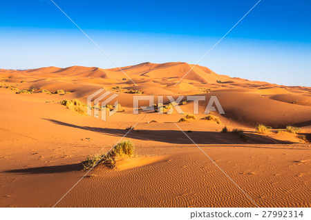 Desert dune at Erg Chebbi near Merzouga in Morocco 27992314
