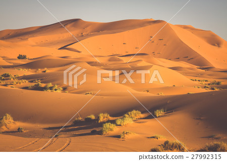 Desert dune at Erg Chebbi near Merzouga in Morocco 27992315