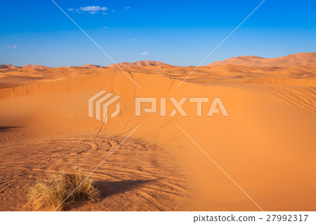 Desert dune at Erg Chebbi near Merzouga in Morocco Desert dune at Erg Chebbi near Merzouga in Morocco 27992317