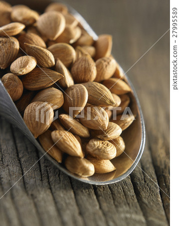 xinjiang almond 27995589
