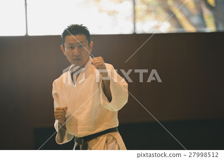 karate, empty hand, figure 27998512