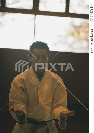 karate, empty hand, figure 27998516