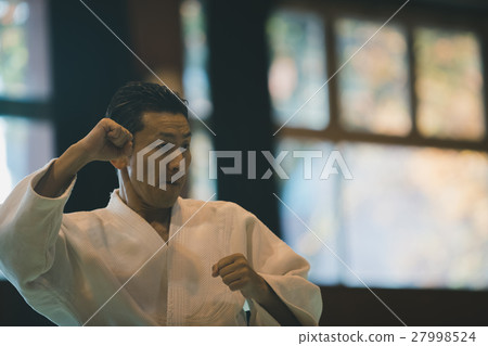 karate, empty hand, figure 27998524